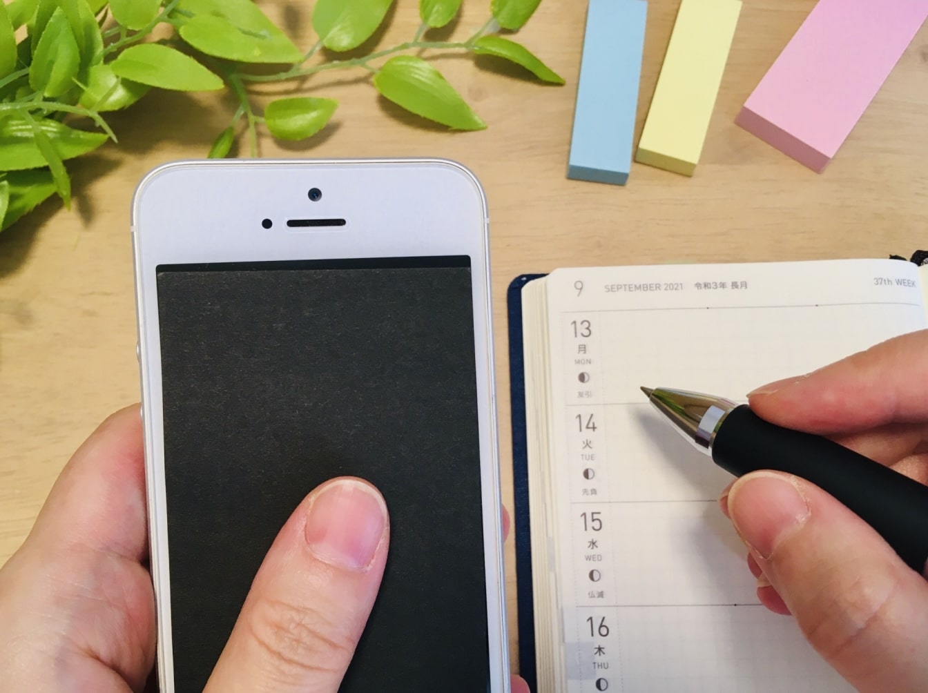 頭金なしカーリースのメリットとデメリットを徹底解説